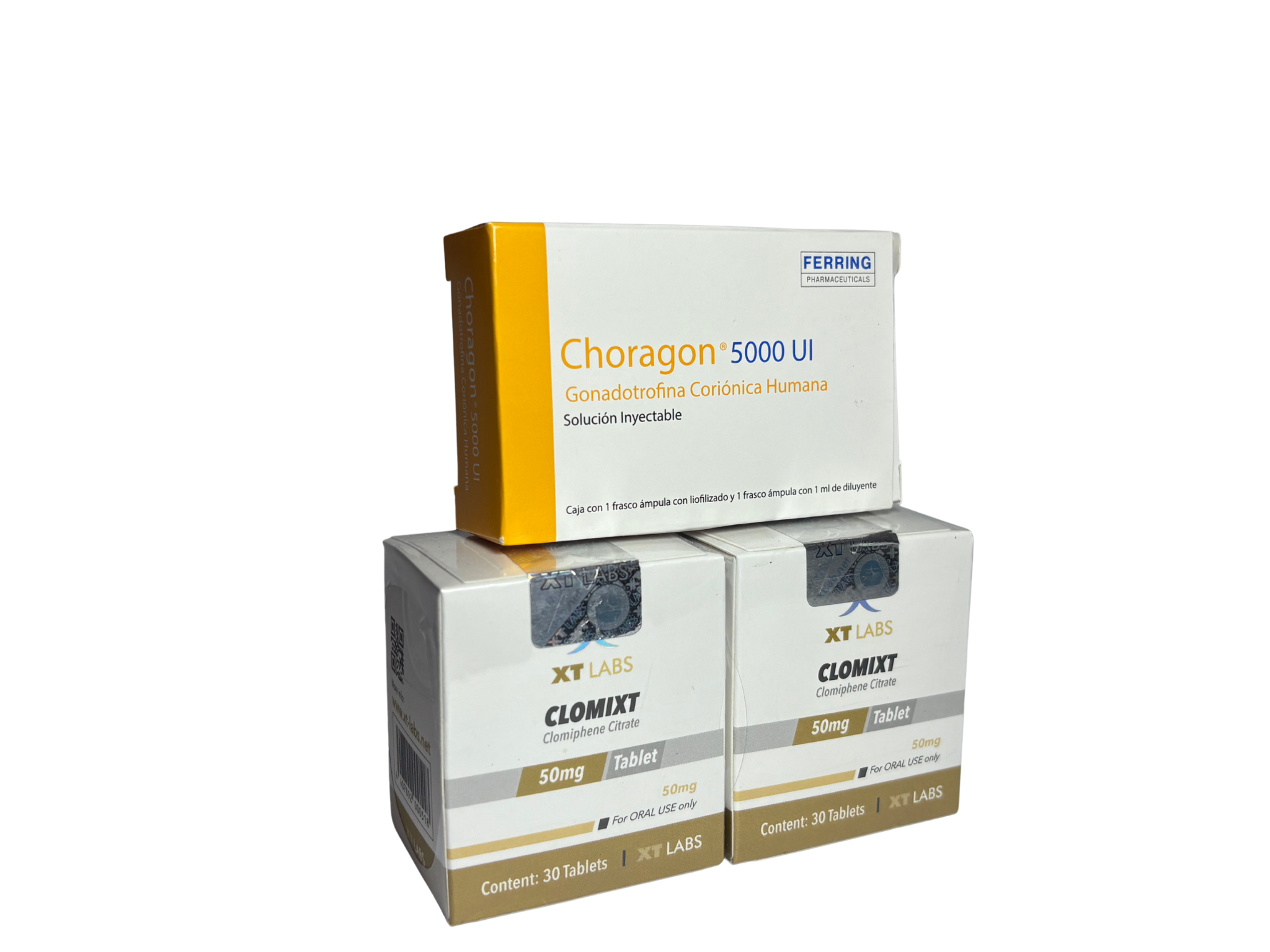 "POST-CICLO XT LABS PRINCIPIANTES/INTERMEDIOS