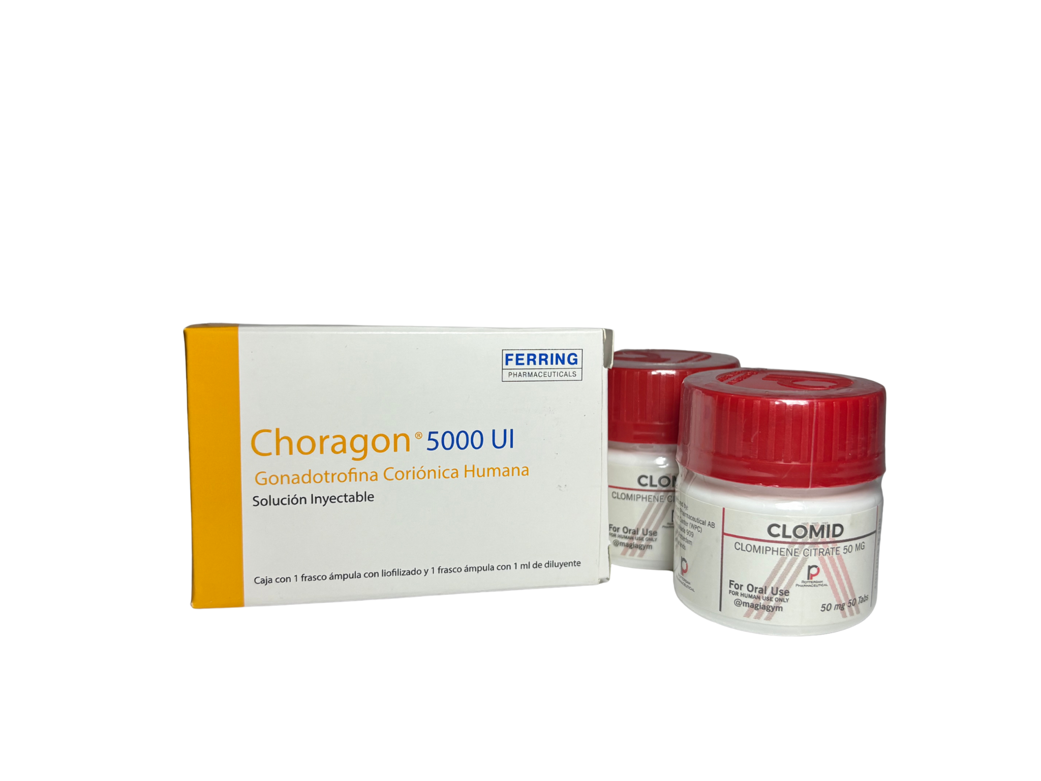 "POST-CICLO ROTTERDAM PRINCIPIANTES/INTERMEDIOS