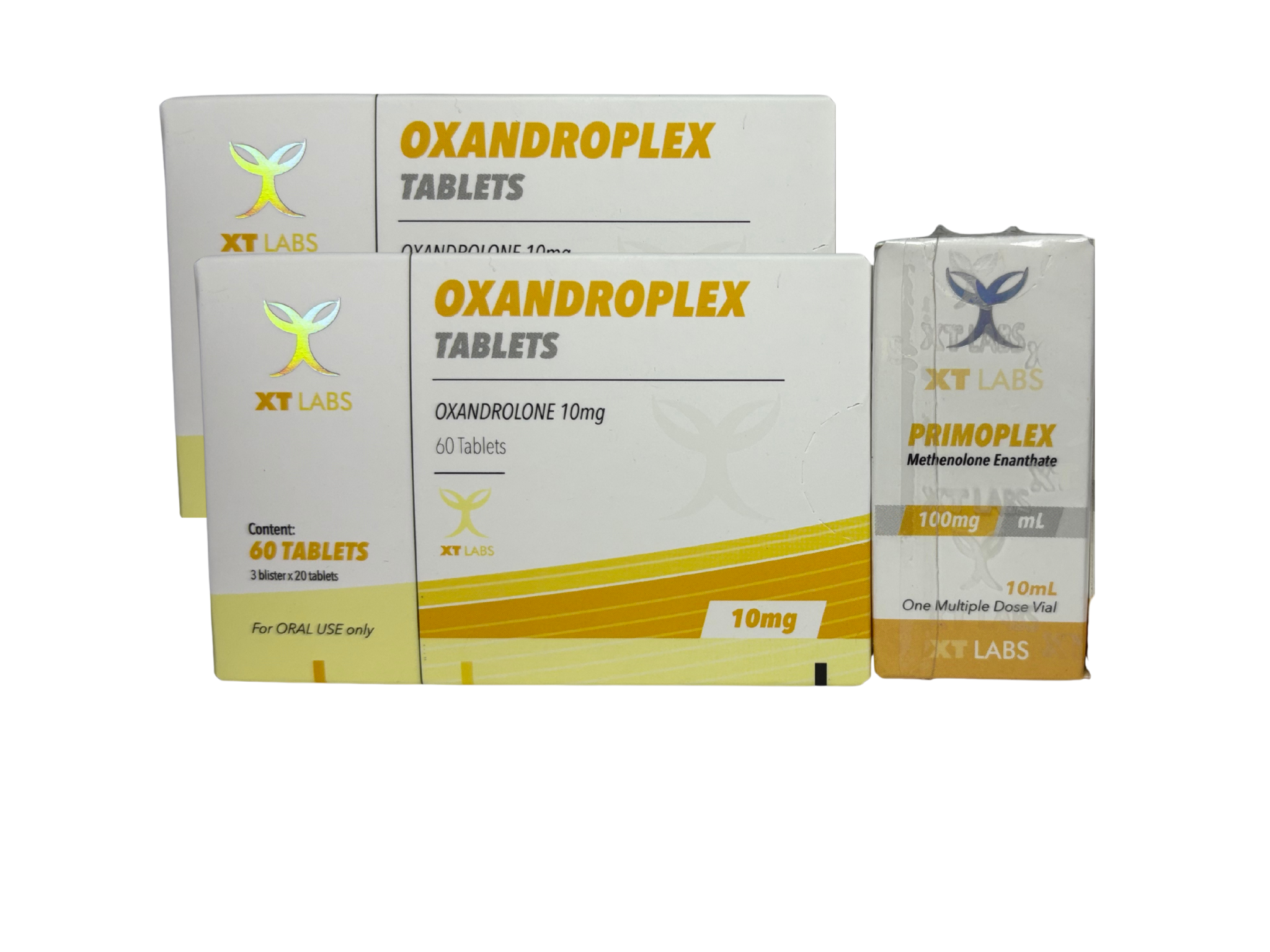 Ciclo de Volumen Basico | MUJERES XT LABS